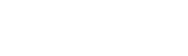 Acceleration Academies